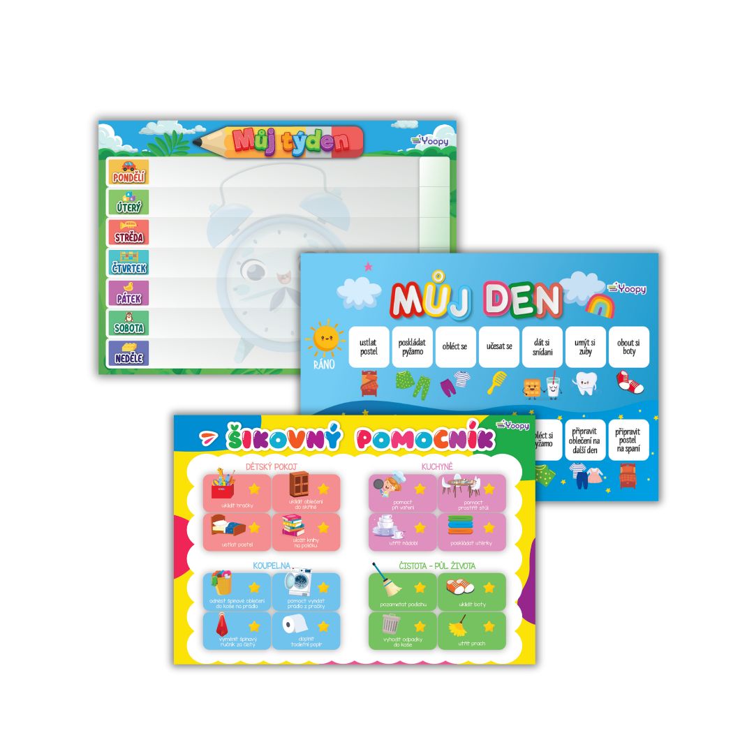 Denní magnetický organizér