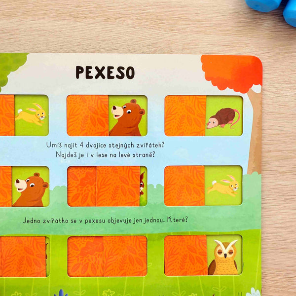 Pexeso kniha